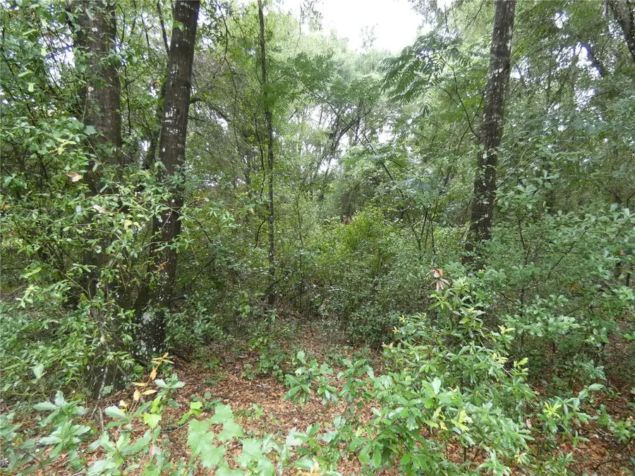 TBD SW 151 St Pl, Dunnellon, FL 34432 - #3