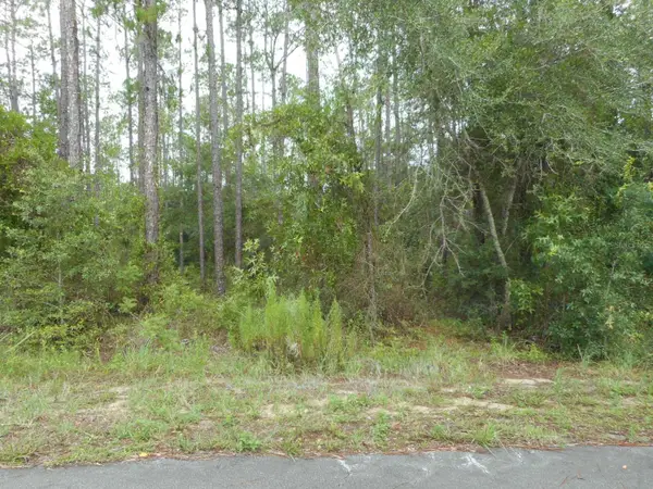 Lot 5 SW Southview Court, DUNNELLON, FL 34431