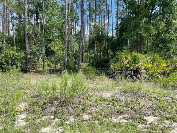 LOT 23 SW Tiger Lake Boulevard W, DUNNELLON, FL 34431