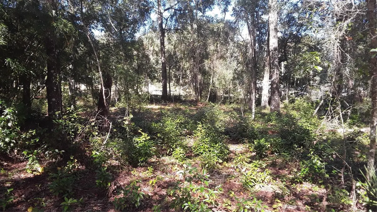 00 NW Chestnut Avenue, Dunnellon, FL 34431 - #1