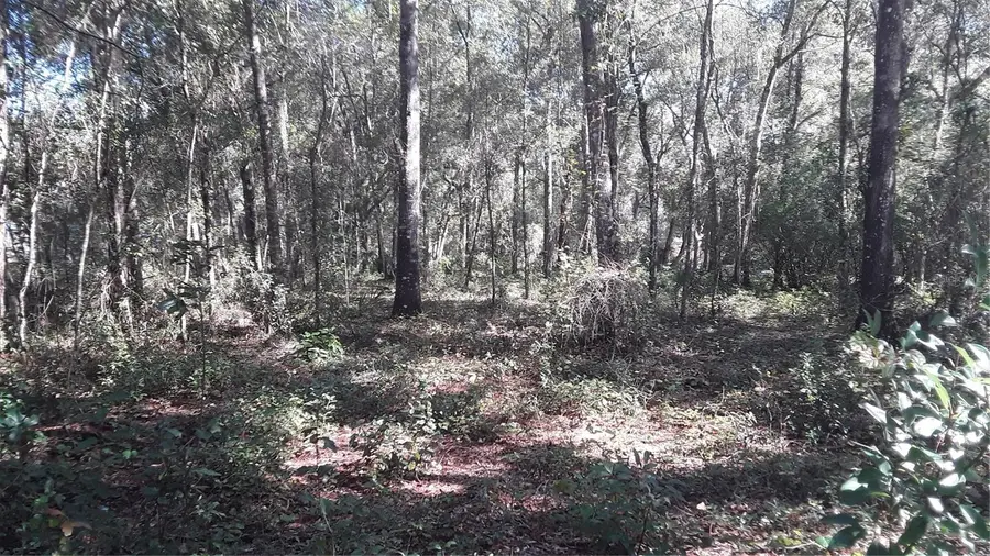 00 NW Chestnut Avenue, Dunnellon, FL 34431 - #3