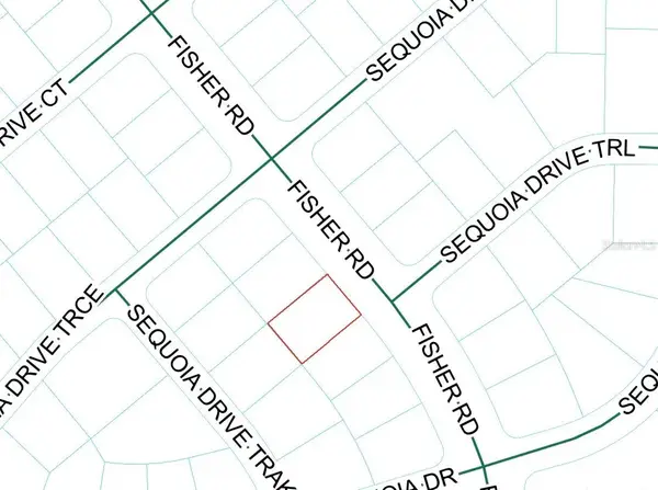 Fisher Road, OCKLAWAHA, FL 32179