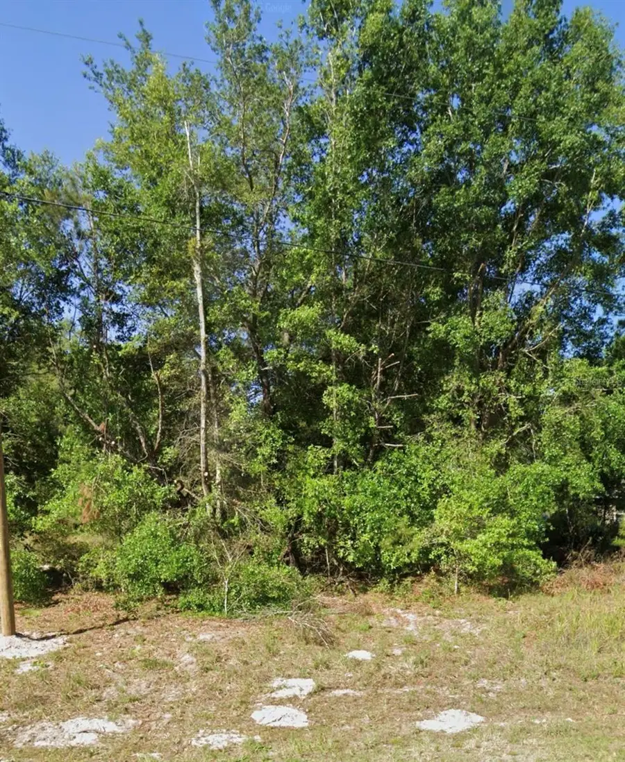 Fisher Road, Ocklawaha, FL 32179 - #2
