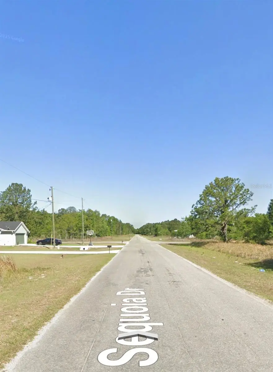 Fisher Road, Ocklawaha, FL 32179 - #3