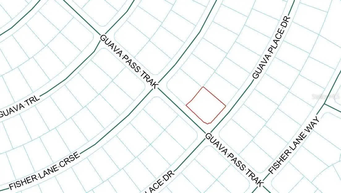 Guava Place Drive, Ocklawaha, FL 32179 - #1