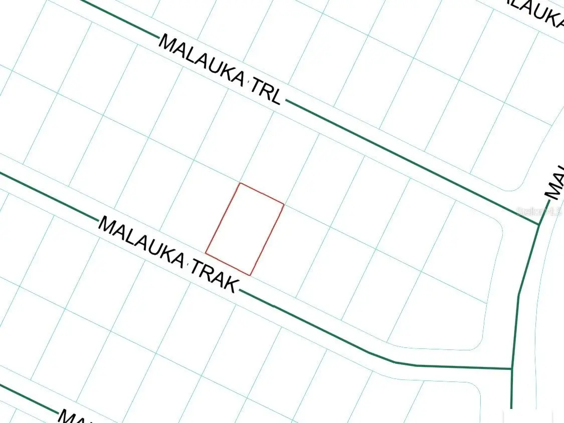 Malauka Trak, Ocklawaha, FL 32179 - #1