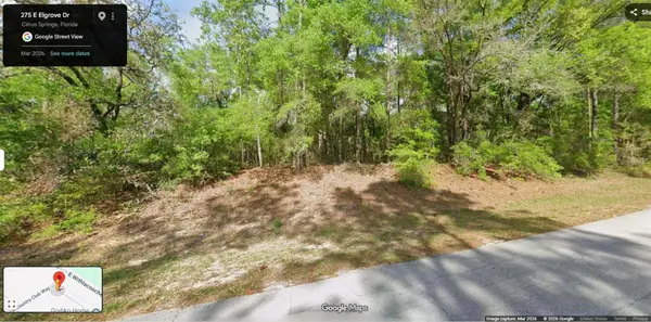 275 E Elgrove Drive, CITRUS SPRINGS, FL 34434