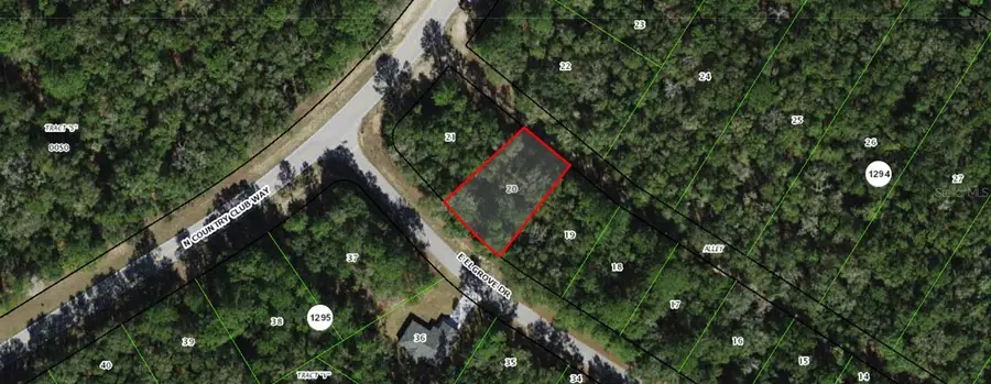 275 E Elgrove Drive, Citrus Springs, FL 34434 - #2