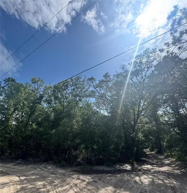 TBD SW 65th Avenue, DUNNELLON, FL 34432