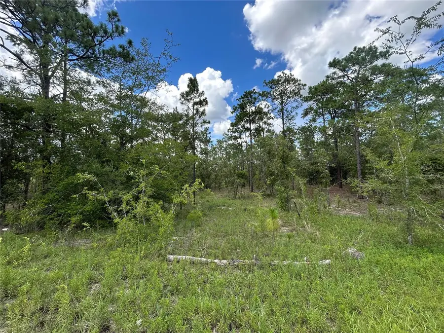 TBD SE 26th Street, Morriston, FL 32668 - #2