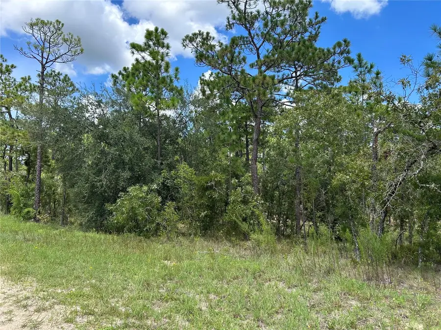 TBD SE 26th Street, Morriston, FL 32668 - #3
