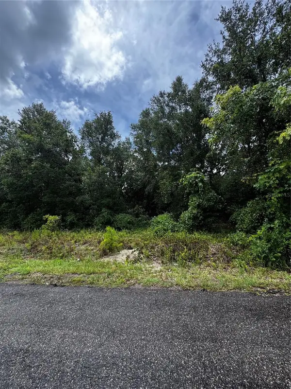 00 SE 115th Place Rd., OCKLAWAHA, FL 32179