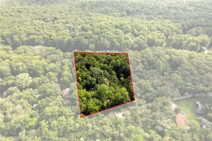 6409 E River Road, Hernando, FL 34442 - #3