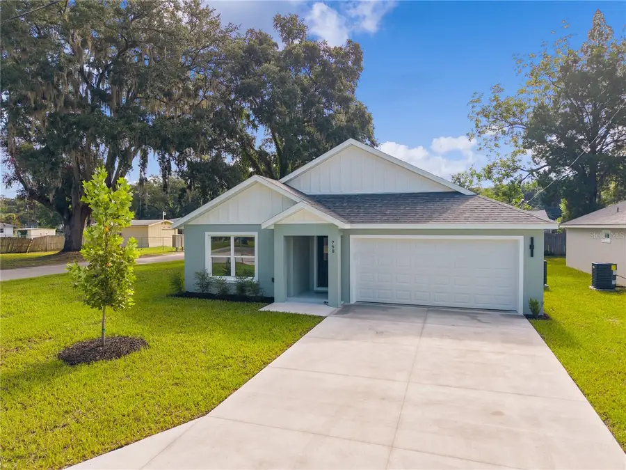 768 Powell Street, Wildwood, FL 34785 - #2