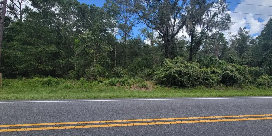 7481 W Dunnellon Road, Dunnellon, FL 34433 - #2