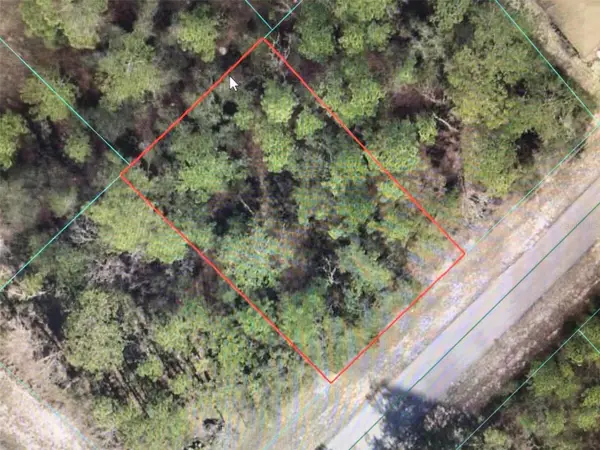 0 SW 66 Avenue Road, OCALA, FL 34473