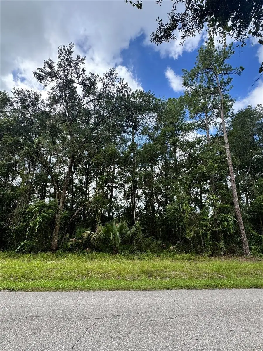 TBD NE 225th Street, Fort McCoy Anthony, FL 32134 - #1