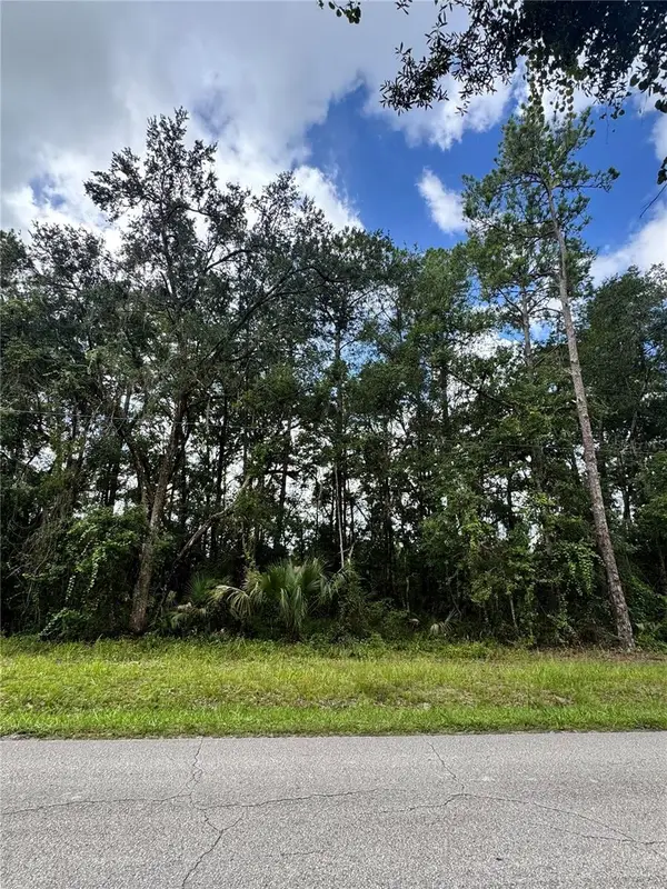 TBD NE 225th Street, FORT MC COY, FL 32134