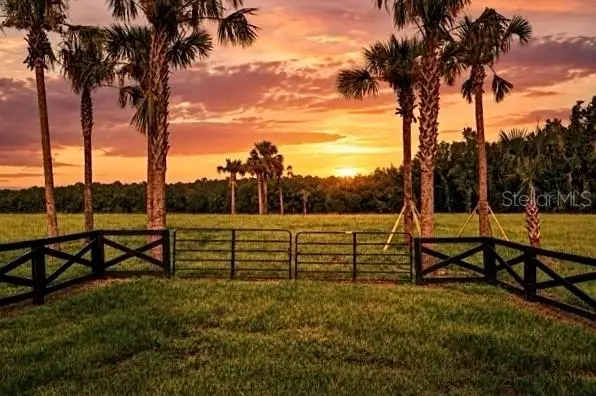 TBD Hwy 329, Reddick, FL 32686 - #1