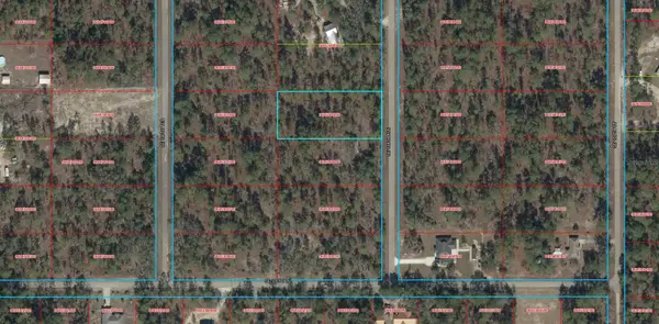 TB SE 138th Avenue, DUNNELLON, FL 34431