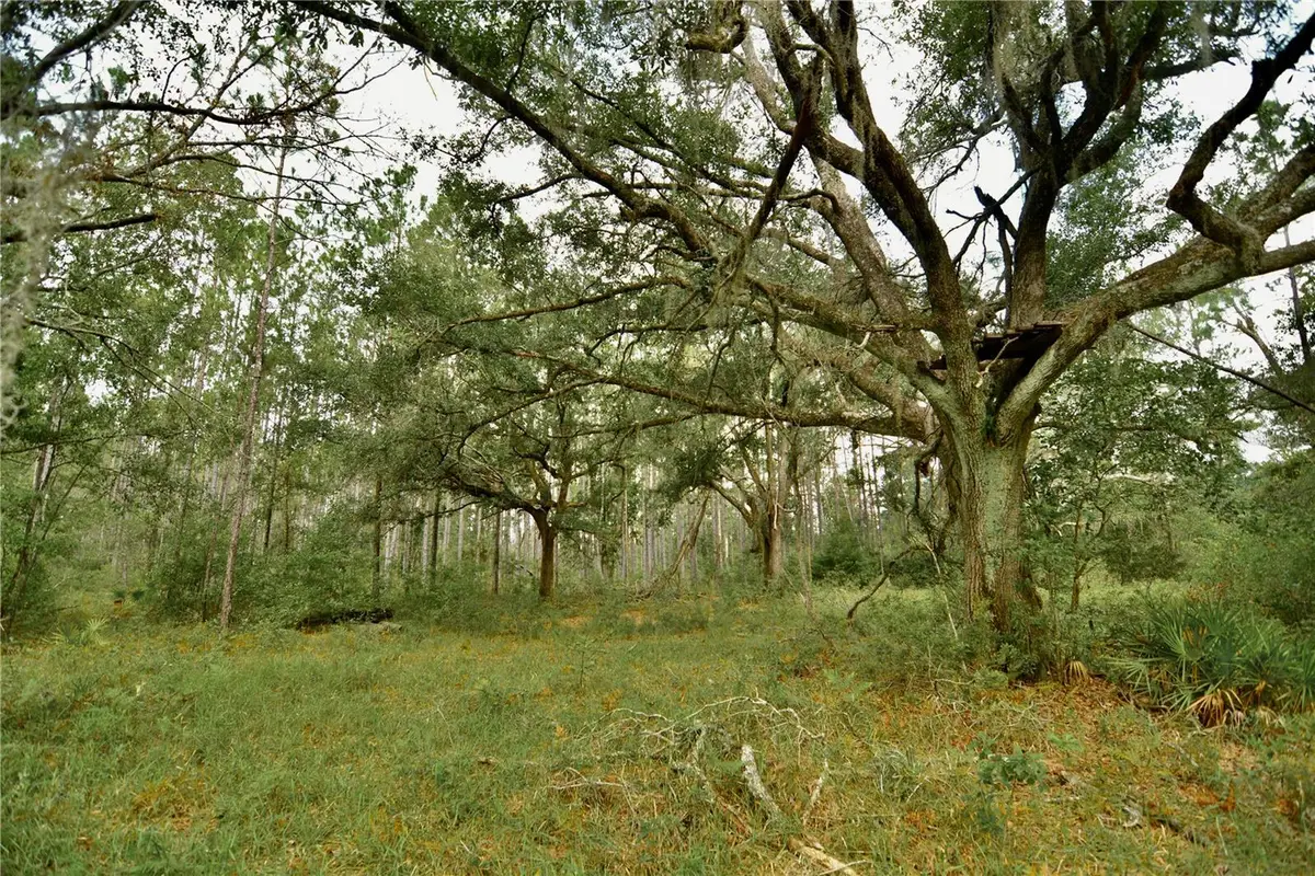 00 Sw Bee Tree Road, Madison, FL 32340 - #1