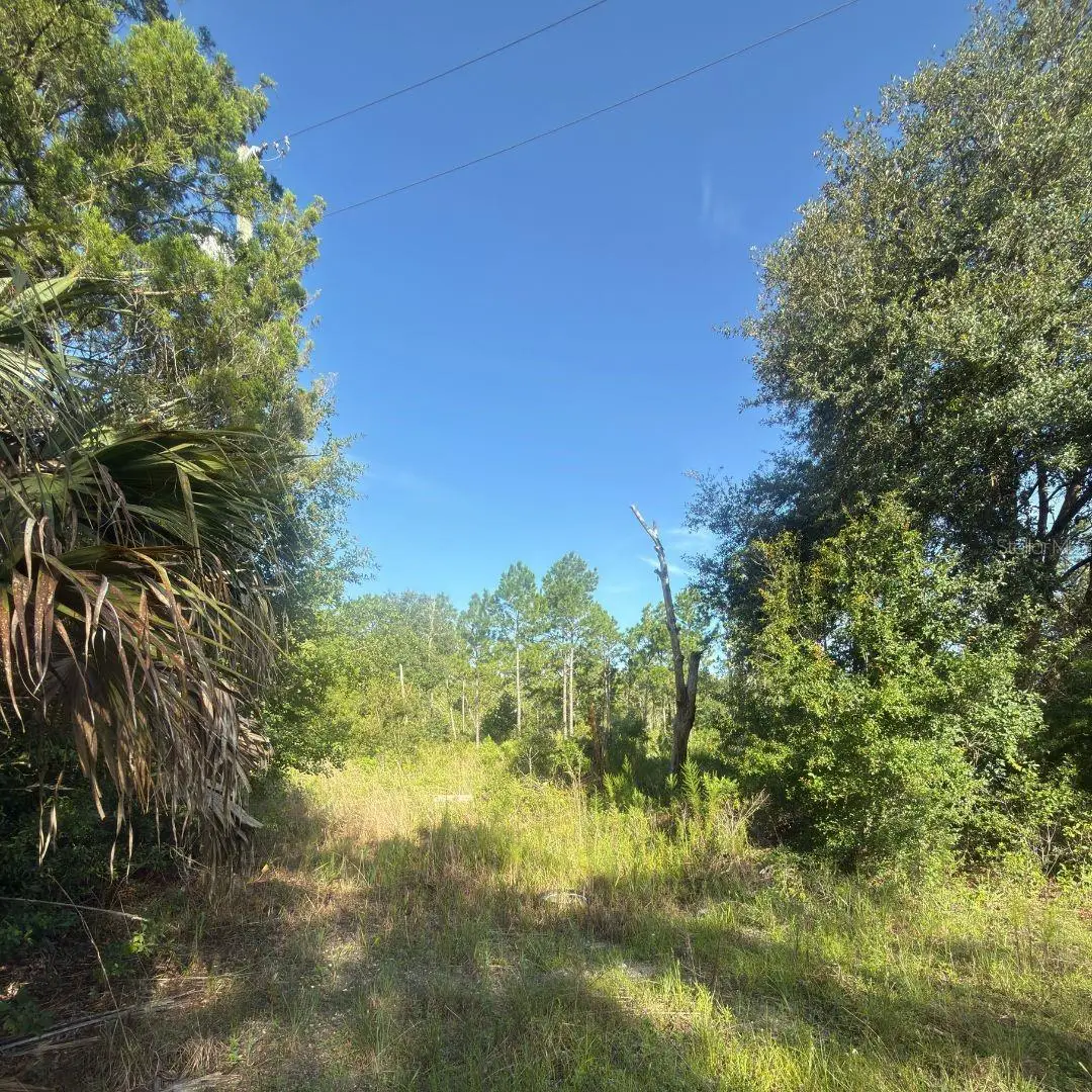 19037 Parakeet Road, Brooksville, FL 34614 - #1