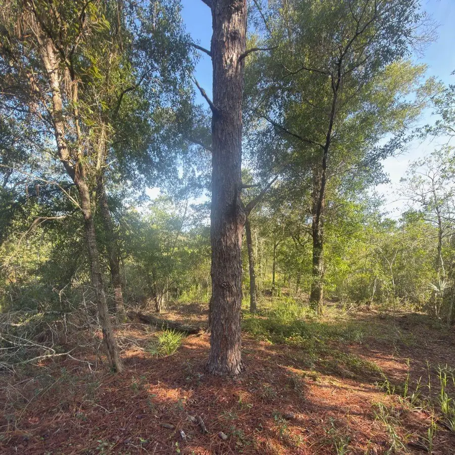 19037 Parakeet Road, Brooksville, FL 34614 - #3
