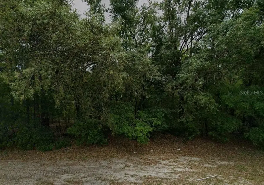 588 W Anderson Lane, Citrus Springs, FL 34434 - #2