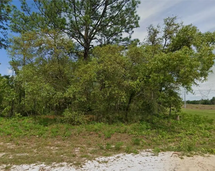 6895 N Varsity Avenue, Citrus Springs, FL 34434 - #2