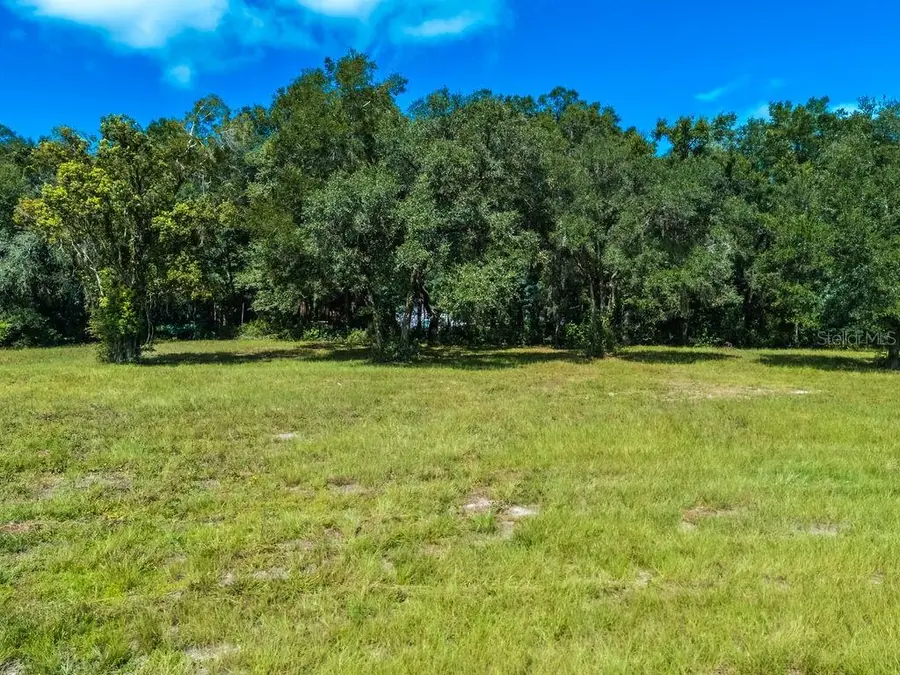 TBD SE Hwy 41, Morriston, FL 32668 - #2