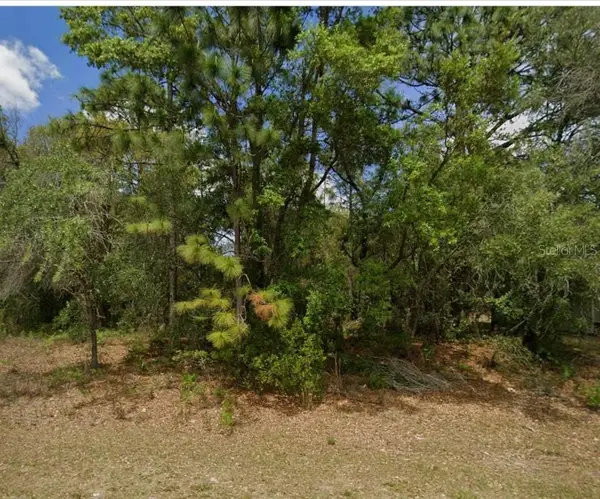 1895 W Hampshire Boulevard, CITRUS SPRINGS, FL 34434
