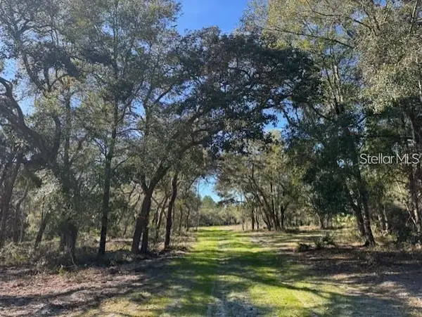 TBD NE 150th Ave Road #LOT 5, FORT MC COY, FL 32134