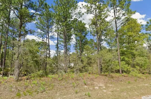 2175 W Galaxy Lane, CITRUS SPRINGS, FL 34434