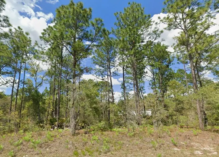 2175 W Galaxy Lane, Citrus Springs, FL 34434 - #2