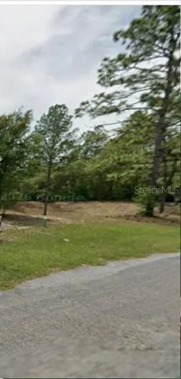 602 W Anderson Lane, Citrus Springs, FL 34434 - #3