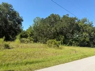 TBD SE 59th Place, Ocklawaha, FL 32179 - #1