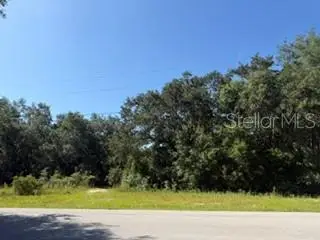 TBD SE 59th Place, Ocklawaha, FL 32179 - #3