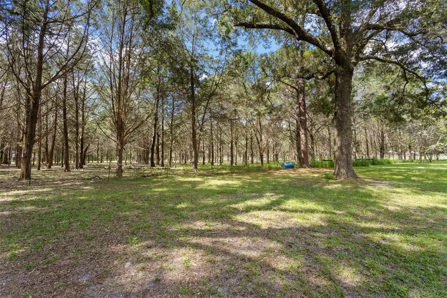 5581 NE 157th Terrace, Williston, FL 32696 - #3