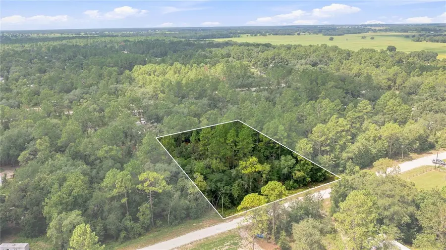 21350 SE 66th Street, Morriston, FL 32668 - #2
