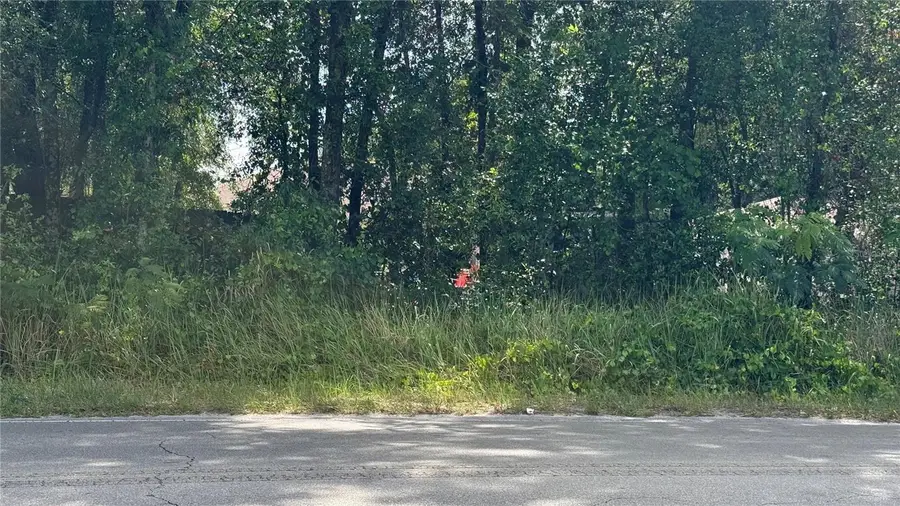 Lot #00 SE 62nd Street, Belleview, FL 34420 - #3