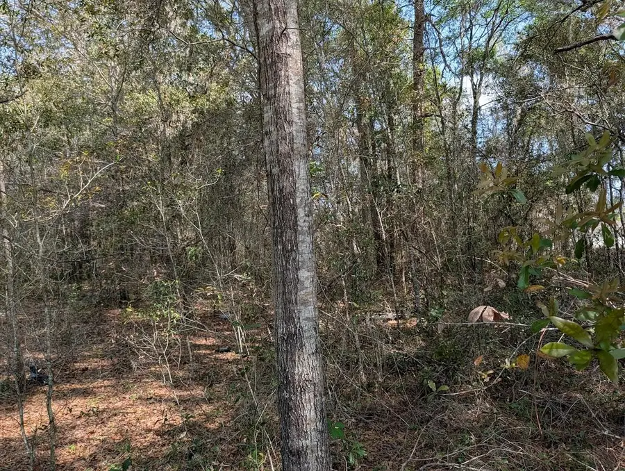 SW 30th Place, Ocala, FL 34481 - #3