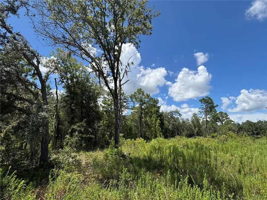 12601 SW 98th Street, Dunnellon, FL 34432 - #2