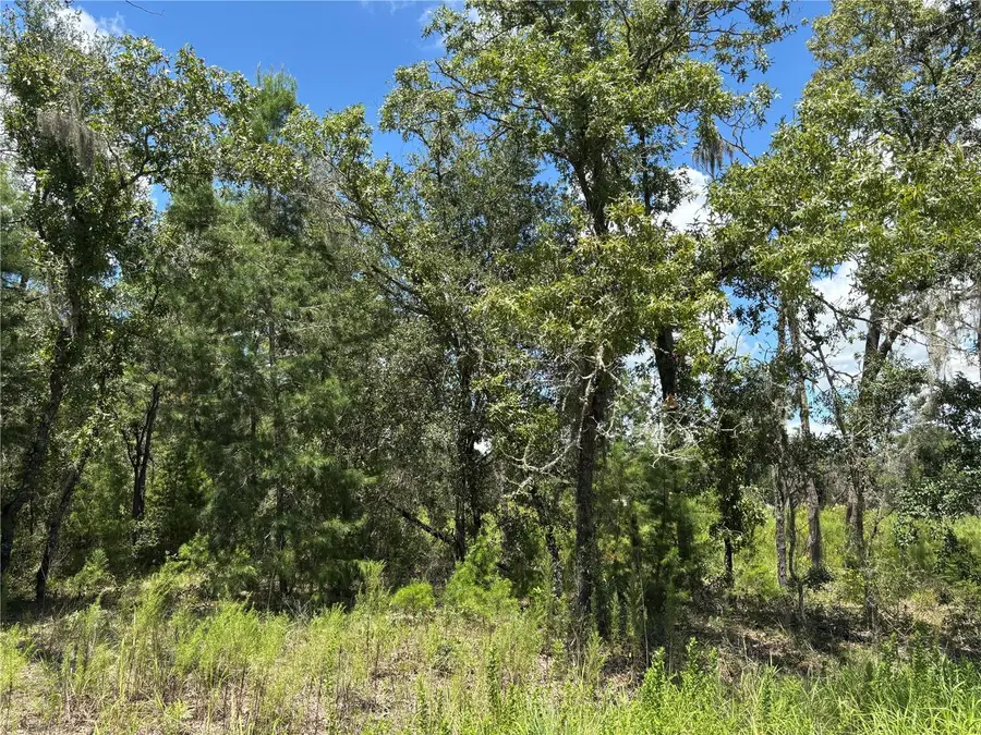 12601 SW 98th Street, Dunnellon, FL 34432 - #3