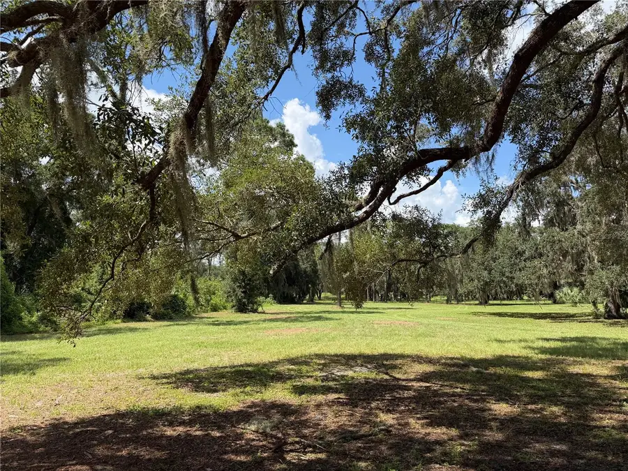 11309 SE Highway 42, Summerfield, FL 34491 - #2