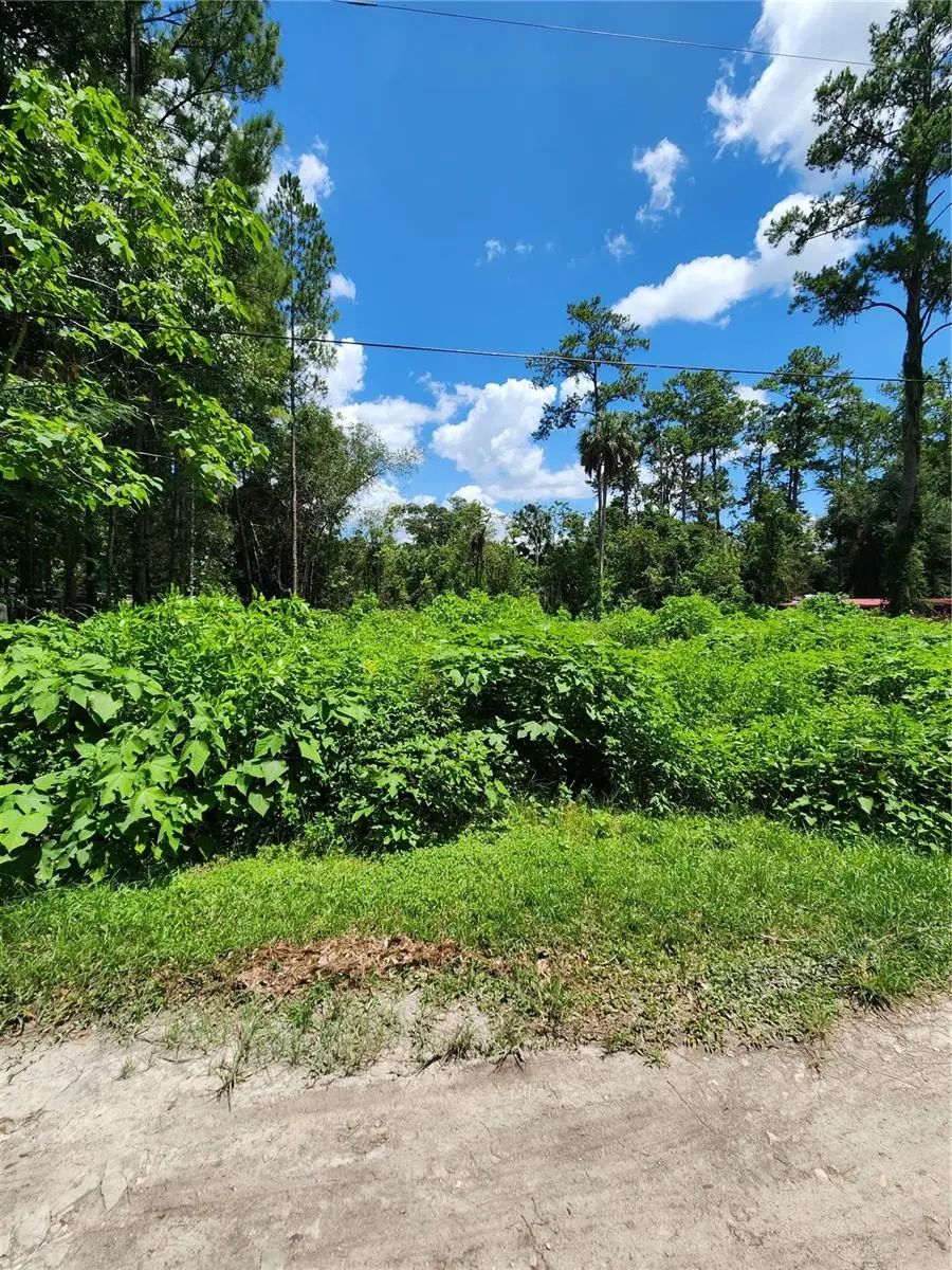 5221 SE 25th Avenue, Ocala, FL 34480 - #1