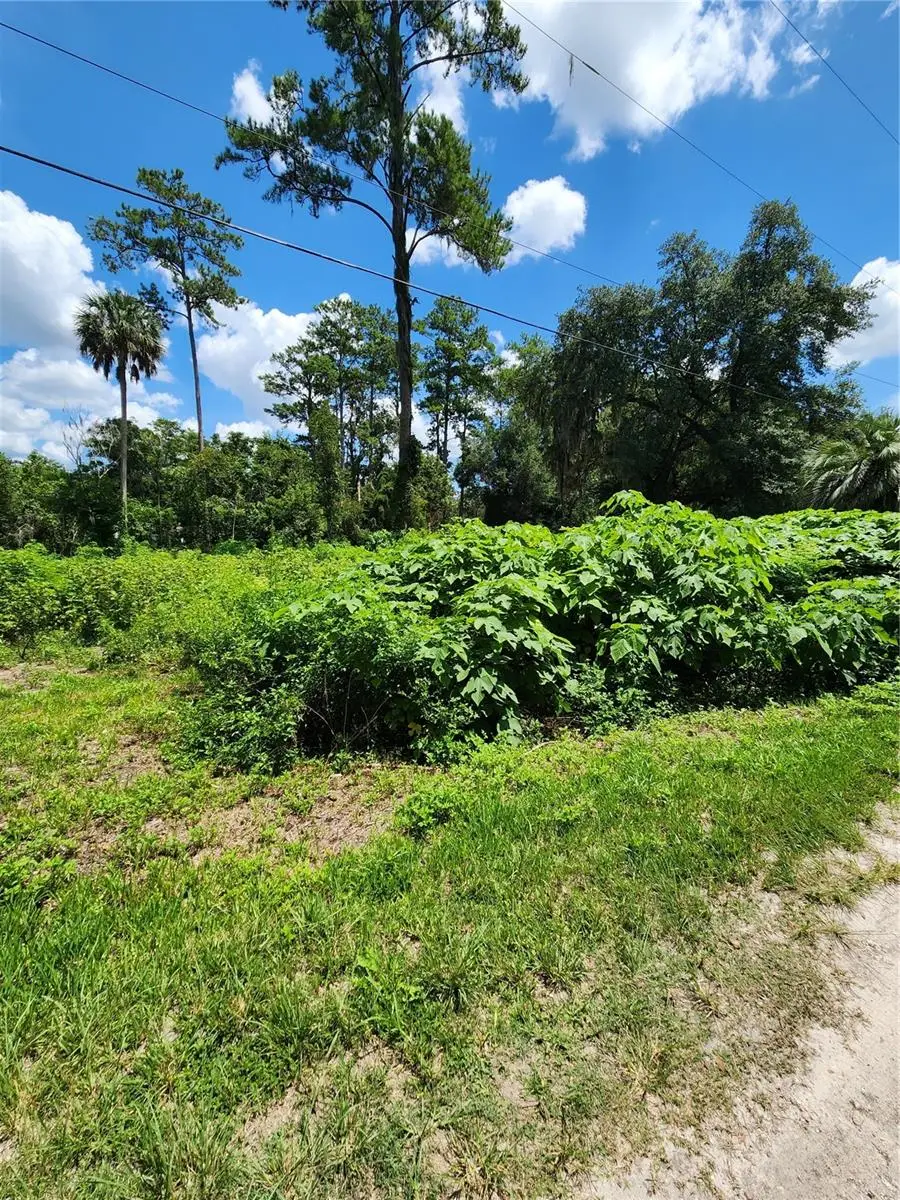 5231 SE 25th Avenue, Ocala, FL 34480 - #3