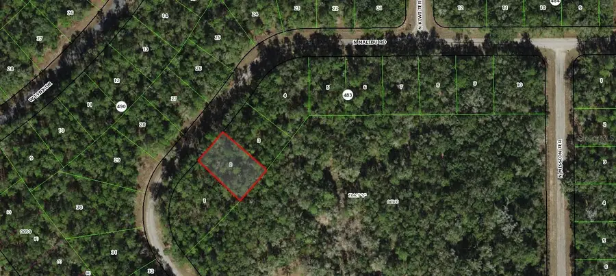 8747 N Malibu Road, Citrus Springs, FL 34434 - #3