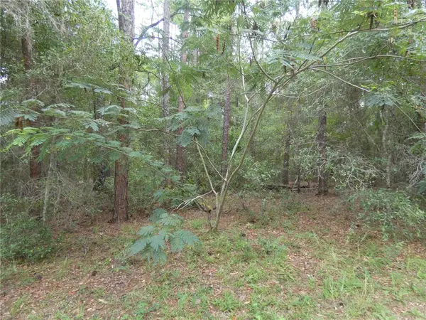 10061 N Biscayne Drive, DUNNELLON, FL 34434
