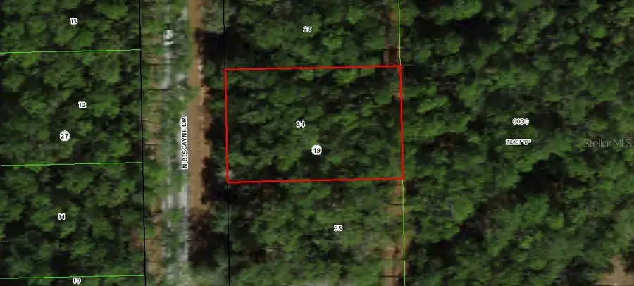 10061 N Biscayne Drive, Dunnellon, FL 34434 - #3