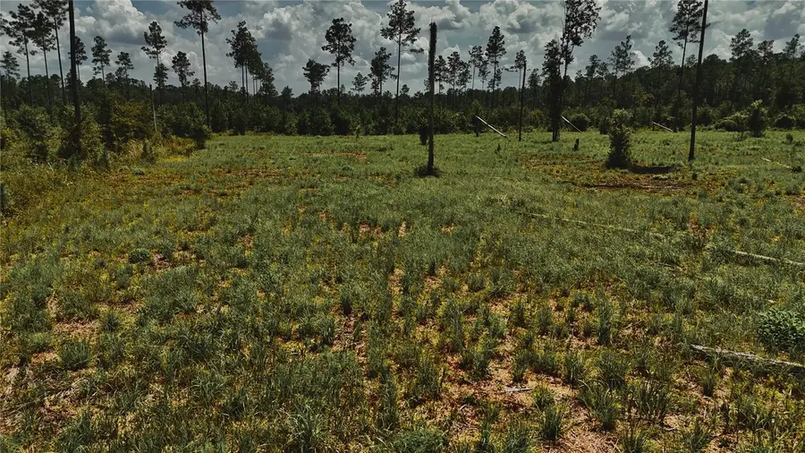 00 99th Lane, Live Oak, FL 32060 - #3